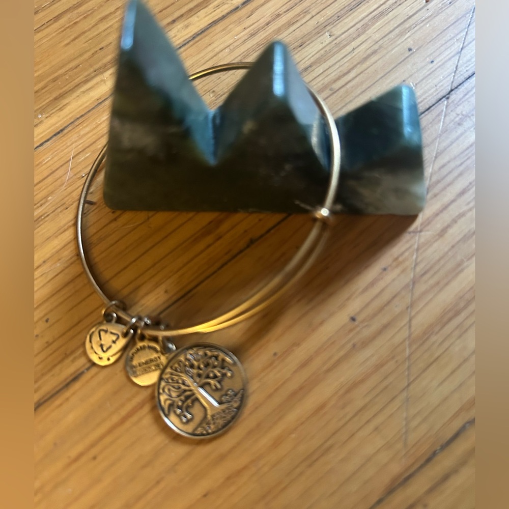 Duo Alex & Ani Bangle Bracelet Tree of Life & Mountain-Shape Aventurine BLKDRW1